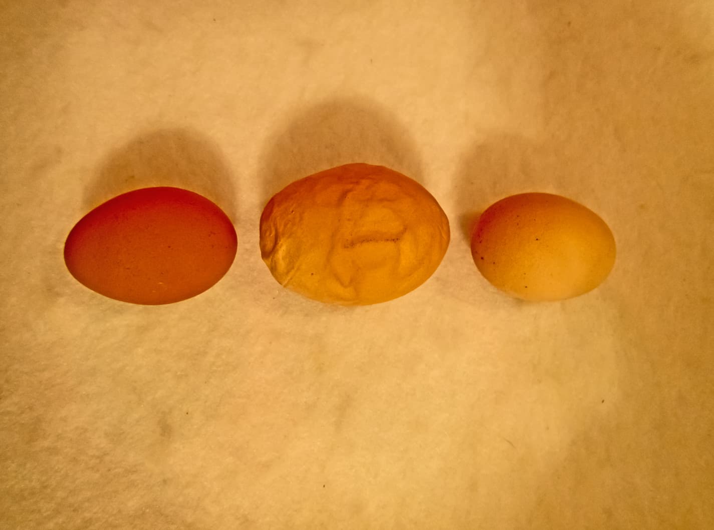 An image of various eggs and an imperfect egg