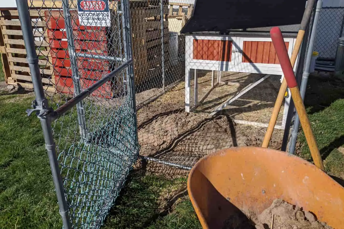 An image of the Starr family's chicken coop and chain link run with the door open and a wheelbarrow full of dirt next to it. A pallet wood animal shelter for goats is next to it.