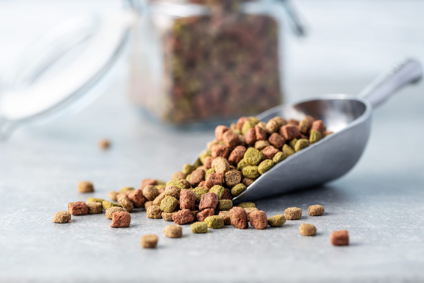 Should You Freeze Dry Dog Food? Pros, Cons, and Tips