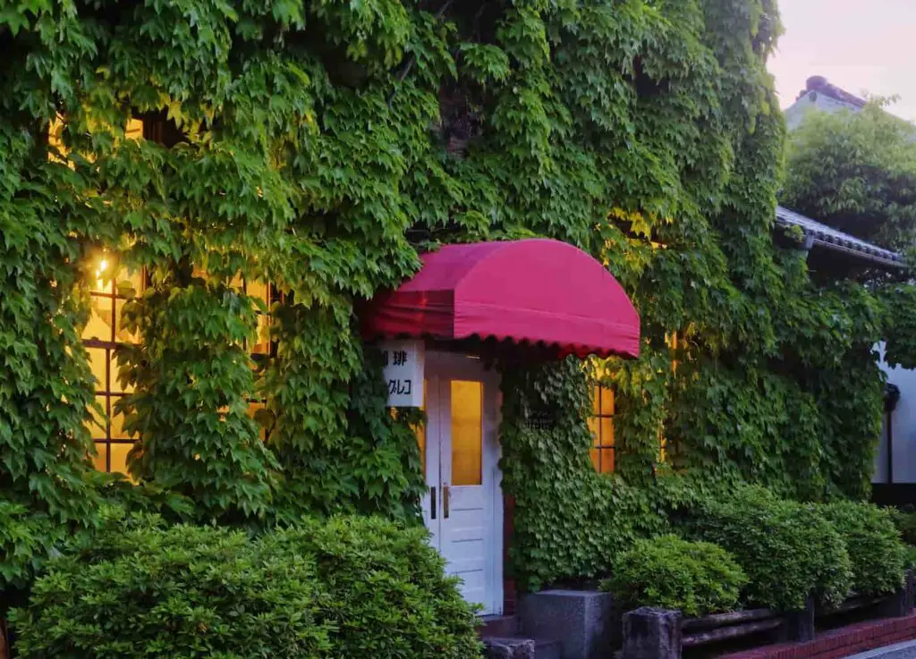 An image of a House Covered in Ivy vines.