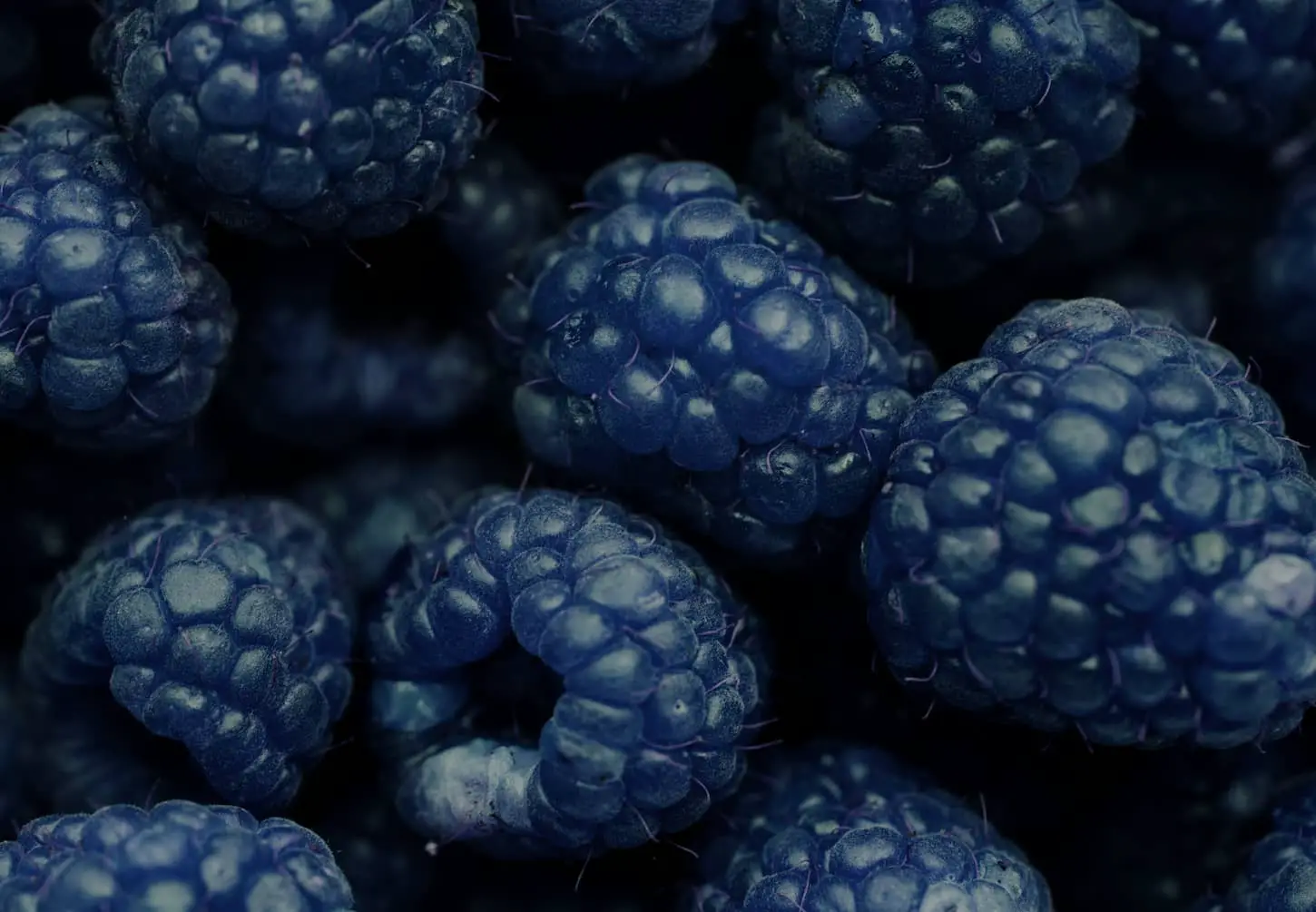 An image of blue raspberries.