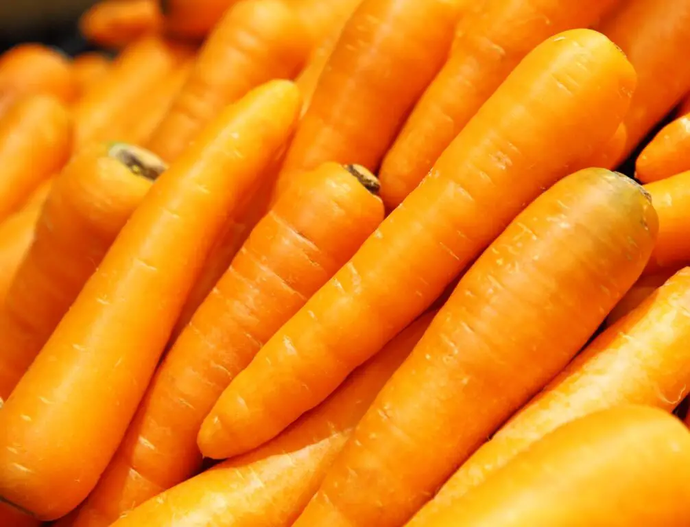 An image of fresh carrots in full food background.