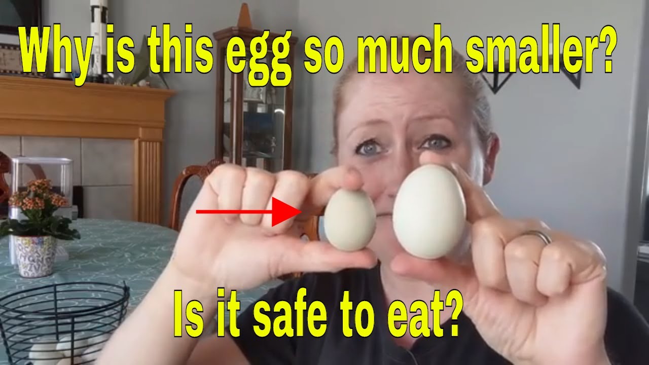 An image of myself in my YouTube channel's video showing a regular-sized egg versus a pullet egg.
