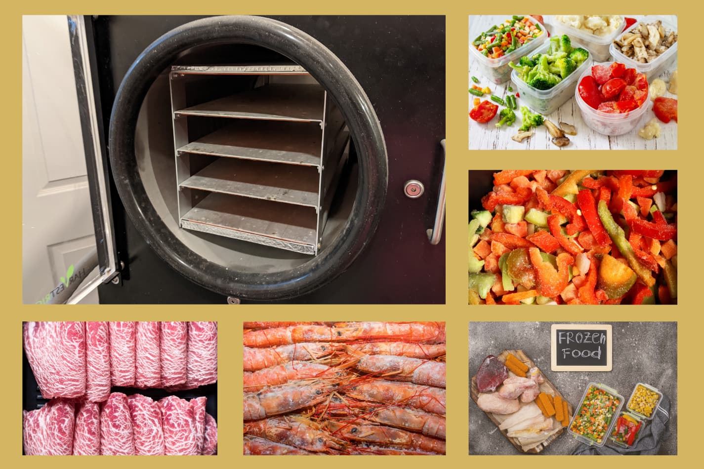 A collage of various images composing of freeze dryer with different variety of frozen goods.