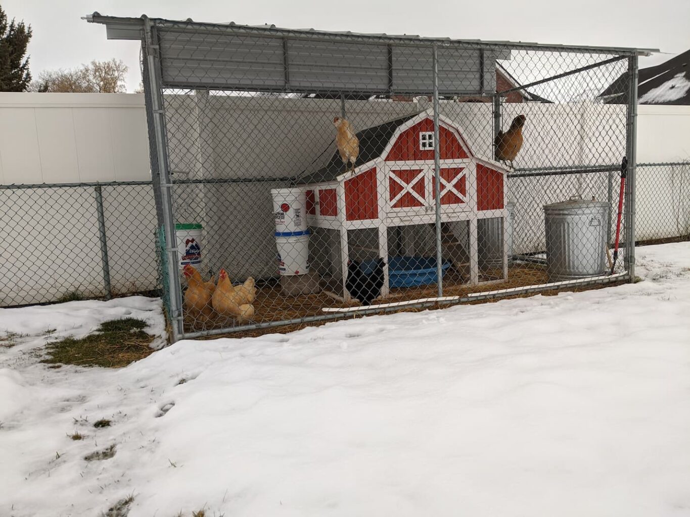 An image of our chicken coop run during winter.