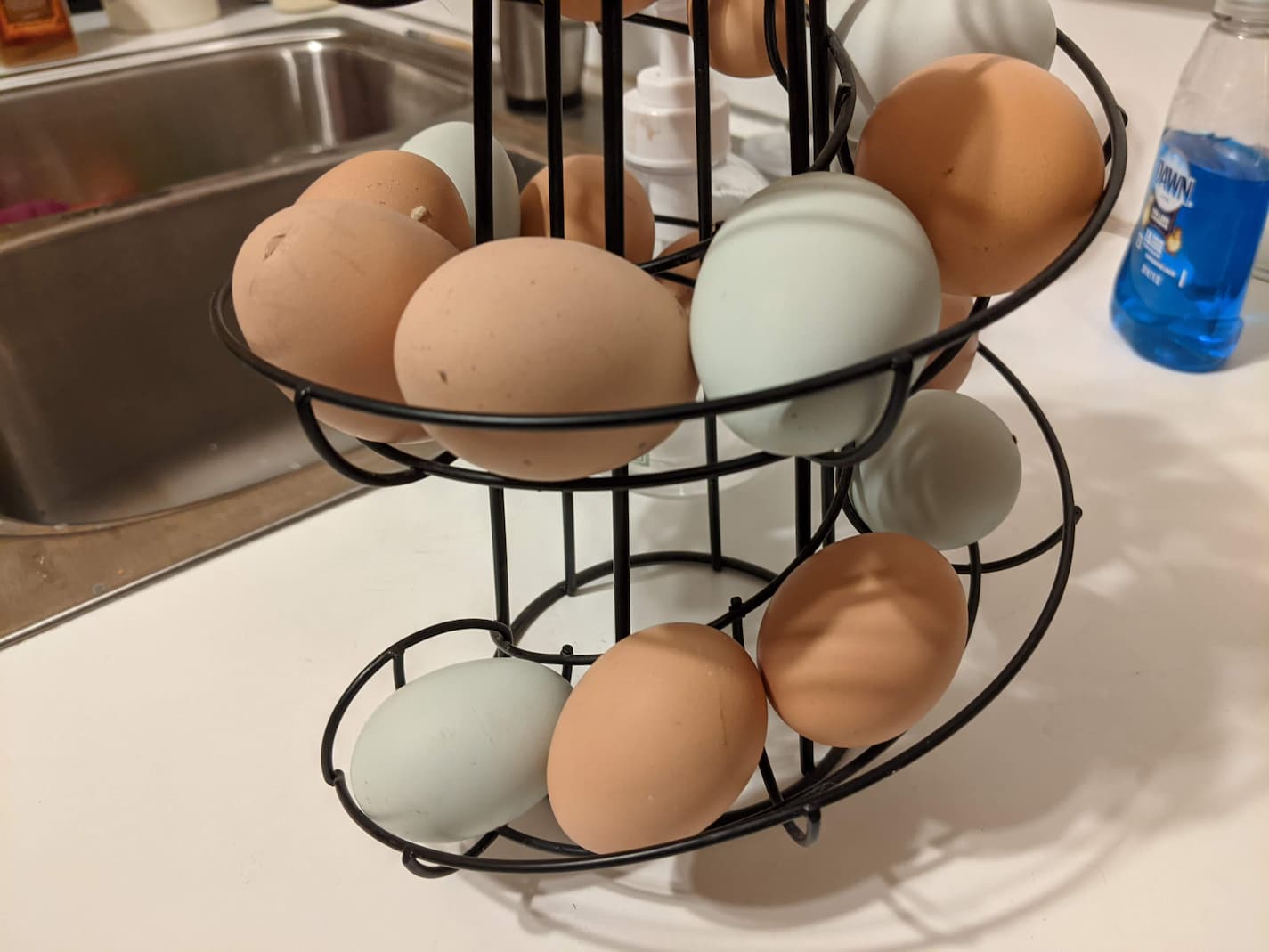 How Long You Can Safely Store Fresh Eggs (on the counter, in the fridge, etc)