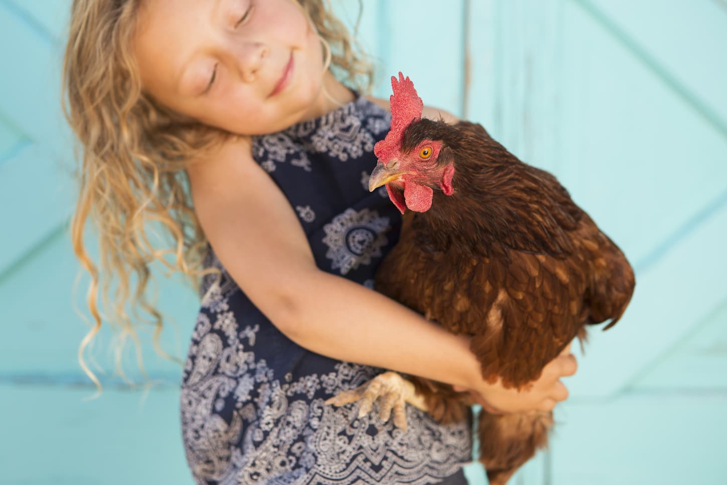 An image of a young girl holding a chicken in her arms.