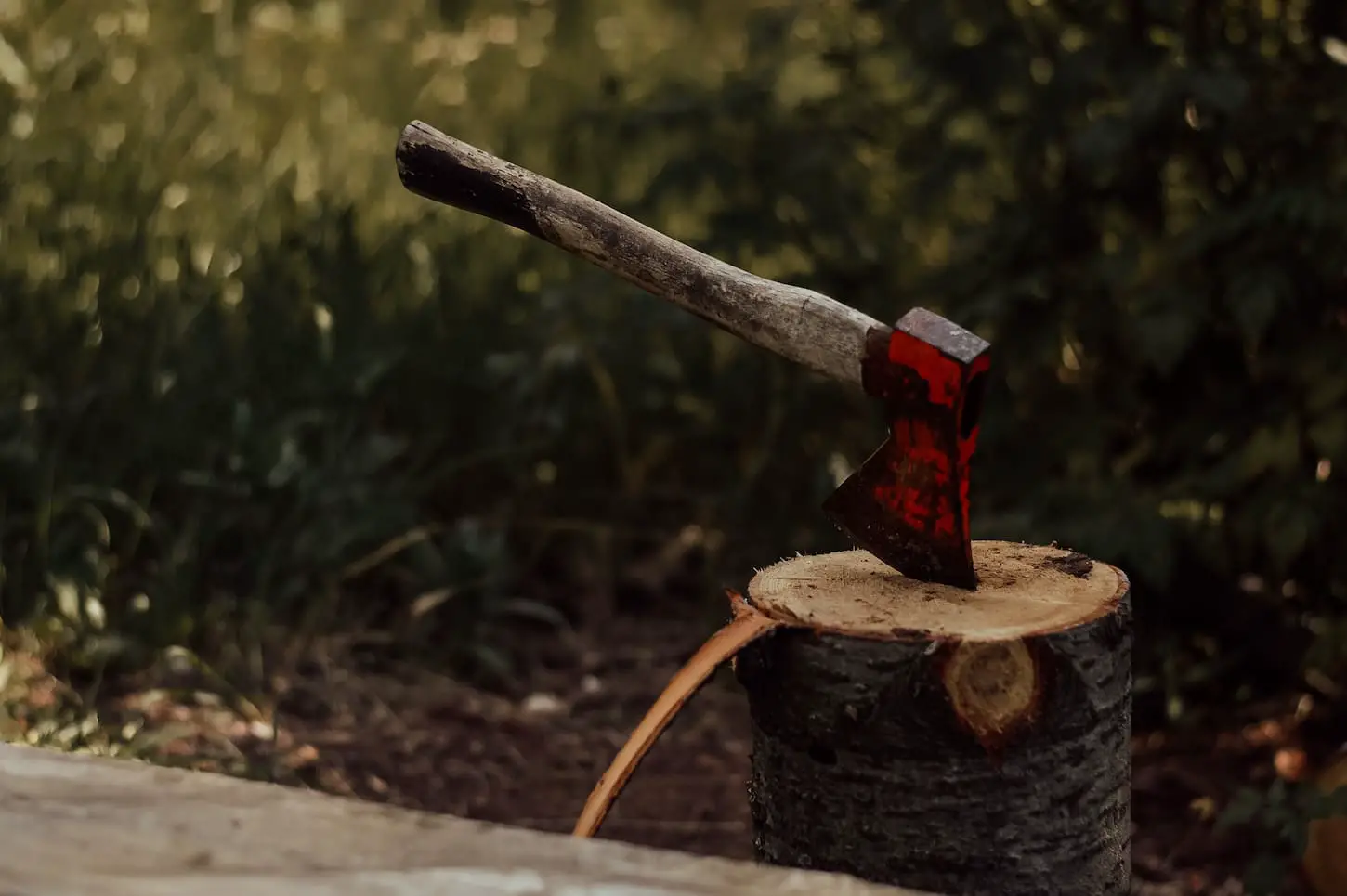 An image of an axe in the stump.