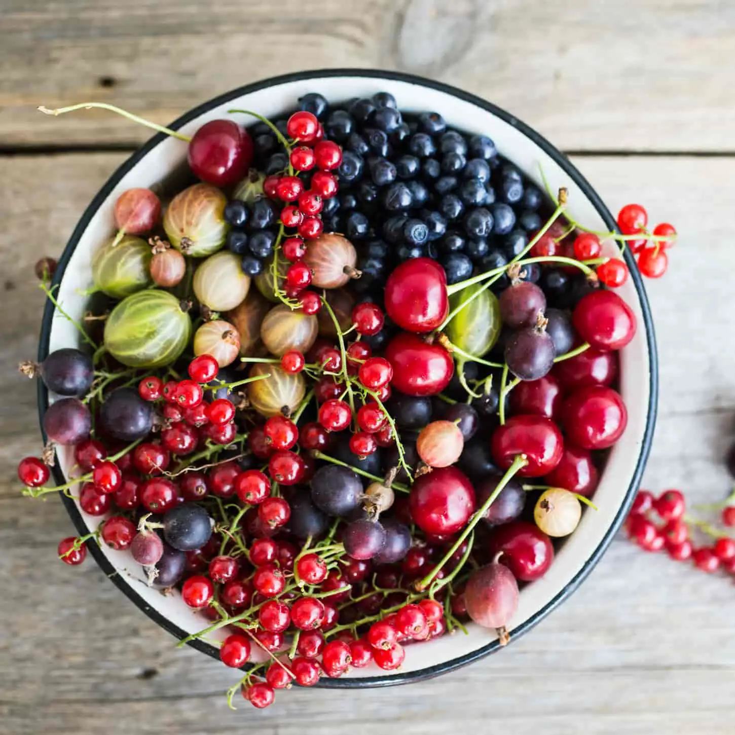 Freeze Drying Berries: How-to and FAQs Answered
