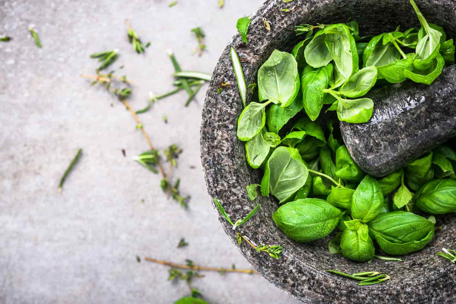 An image of fresh basil mint in concrete pestle or mortar.