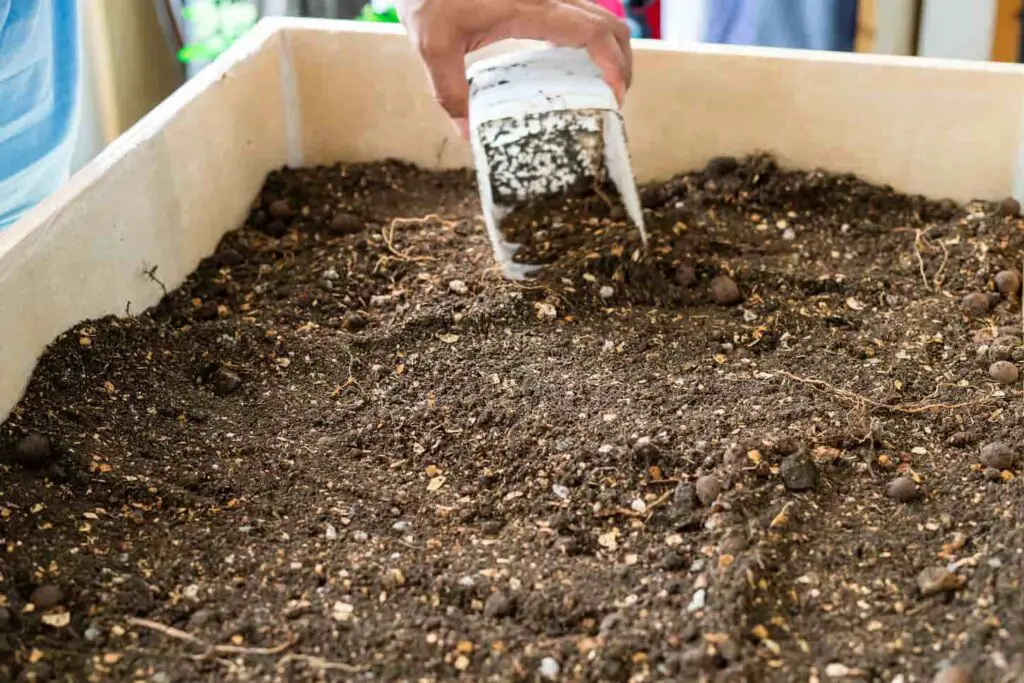 An image of soil in a wooden planter box.