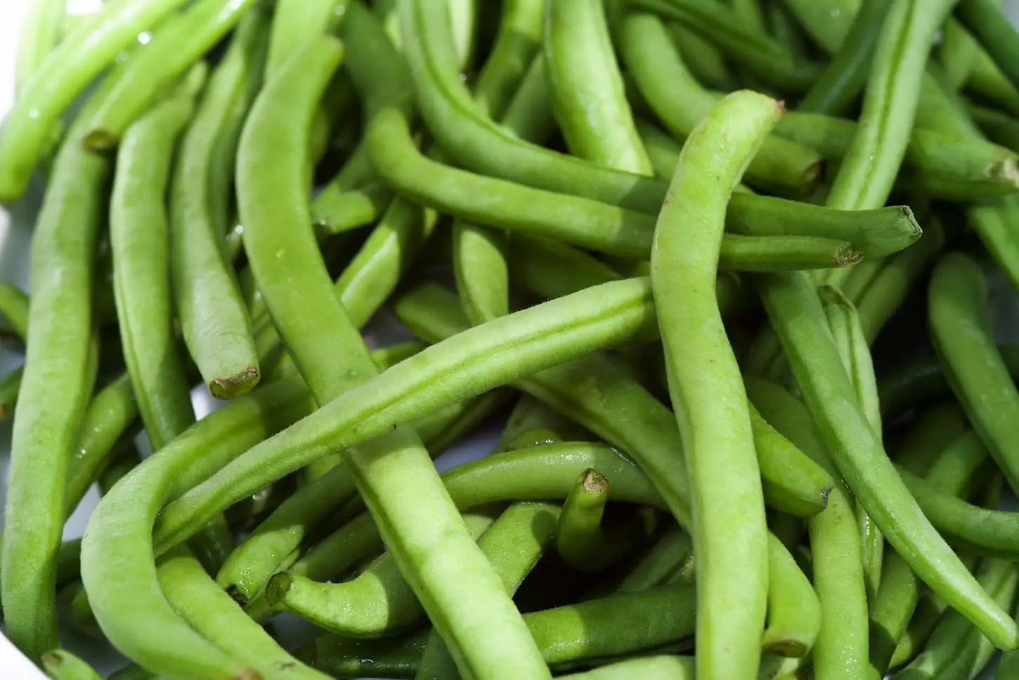 An image of fresh green string beans.