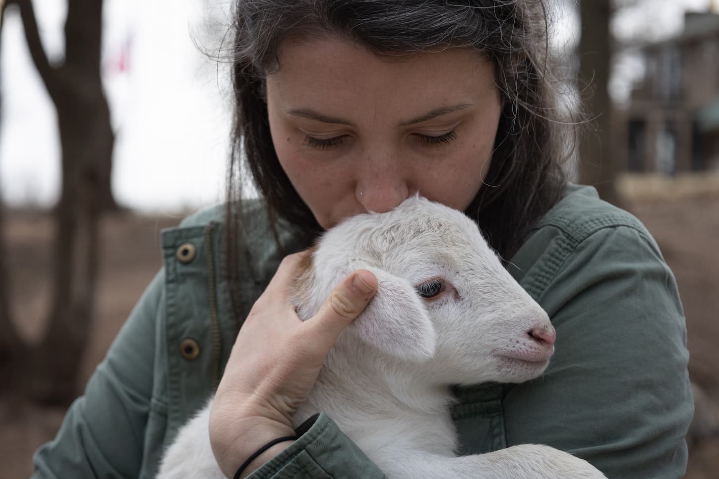 An image of a farmer holding a newborn lamb.