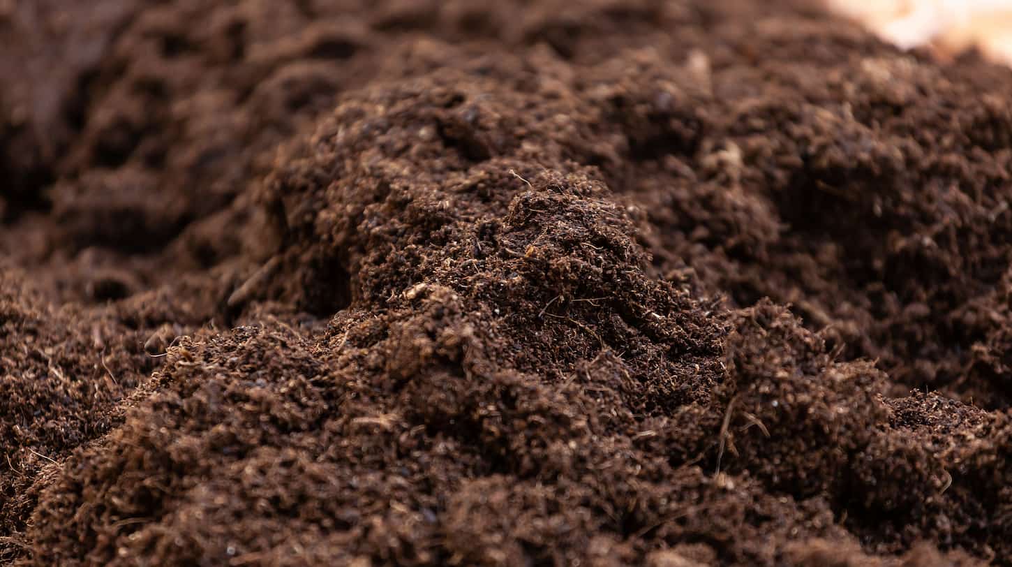 An image of Clean soil for cultivation. The potting soil or peat is suitable for gardening and is one of the four natural elements. The land is life for our planet earth. Selective Focus.