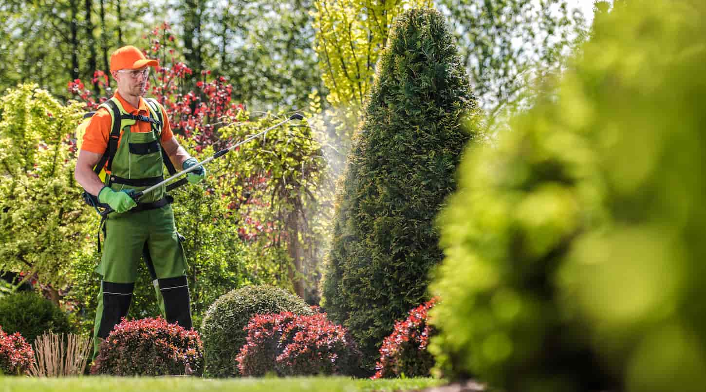 An image of a Caucasian Professional Gardener with Fertilizer.