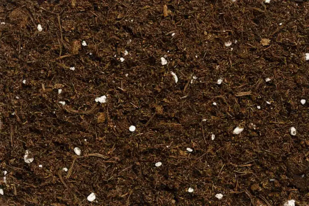 An image of an Organic potting compost, background, from above. Soil, growing medium and culture substrate for sowing. Made of moderately decomposed raised bog peat, bark humus, wood fibers, sand and NPK fertilizer.