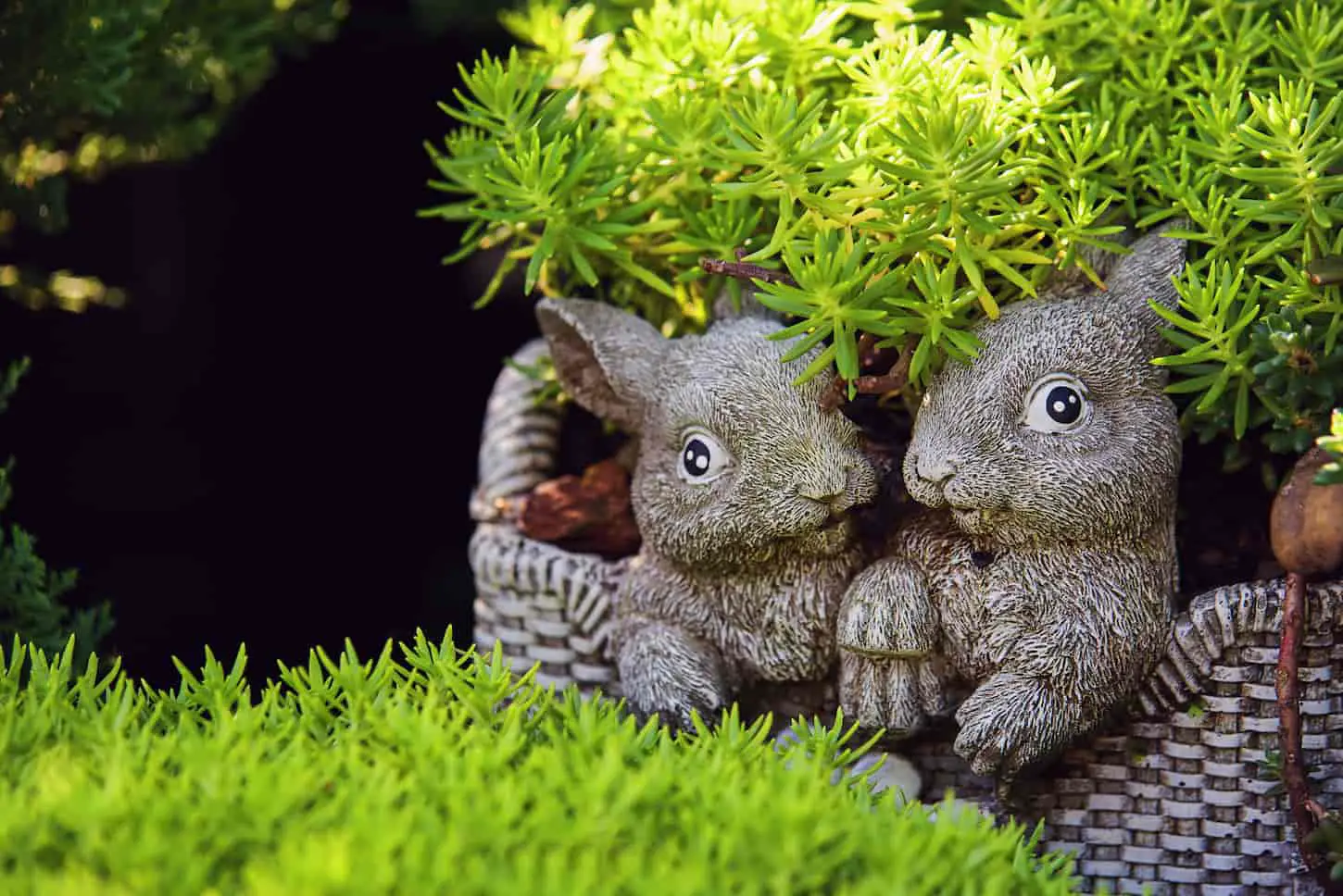 An image of lover rabbits garden statues with green leaves.