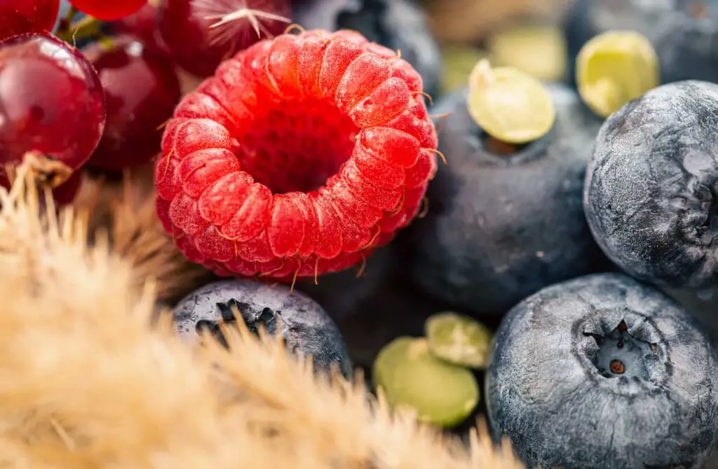 An image of different wild berries in macro shot.