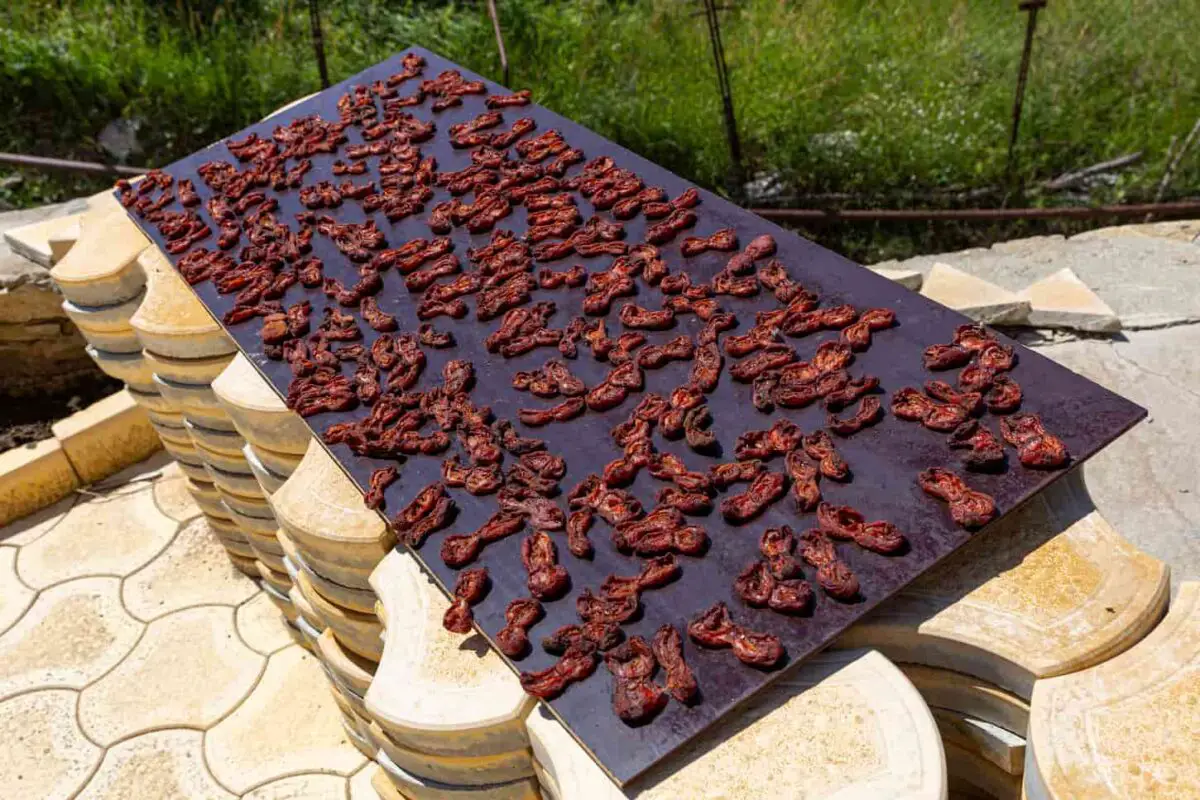 An image of Dried pitted apricots on panels to dry in sun in the backyard outdoors.