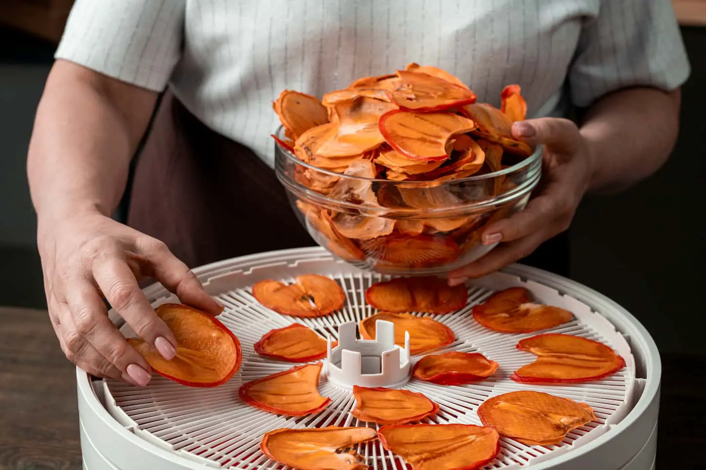 An image of an unrecognizable woman spreading fruit slices on layer of dehydrator while making healthy homemade snacks.