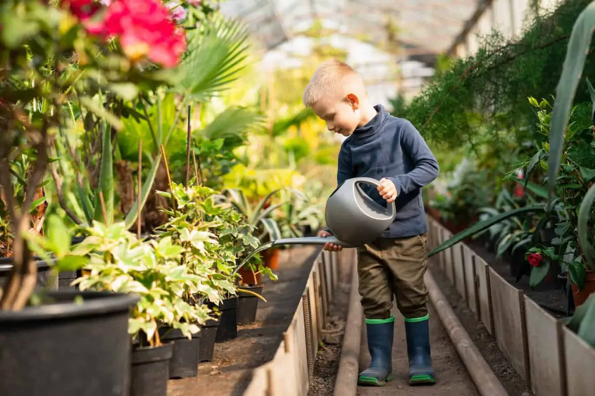 An image of a Boy watering pots with plants in a greenhouse.