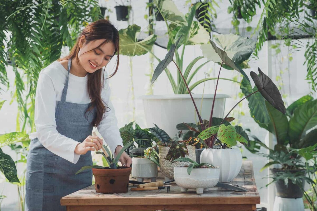 An image of a woman taking care of all the indoor plants indoor.