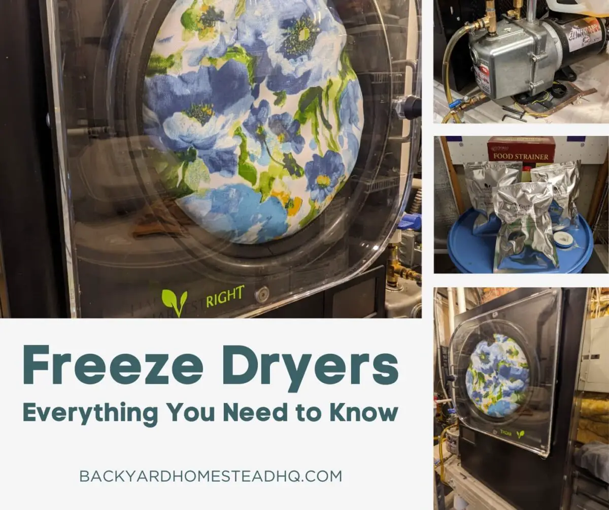 A collage of a freeze dryer, an oil-based vacuum pump, freeze-dried food in a mylar bag, and another angle of the freeze dryer.