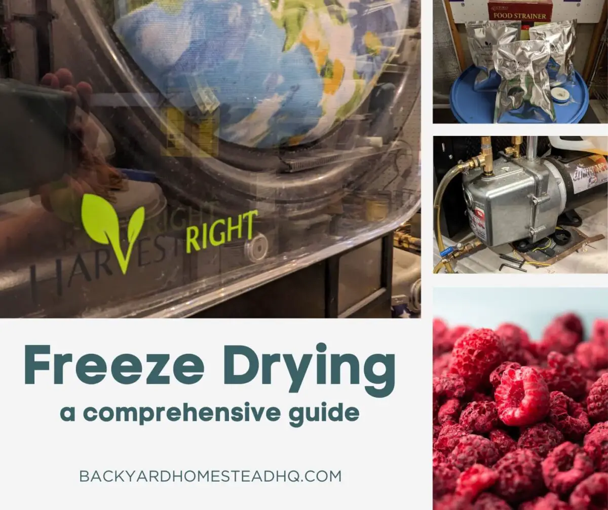 A collage of images including our freeze dryer, our vacuum pump, our freeze-dried foods in mylar bags, and freeze-dried raspberries